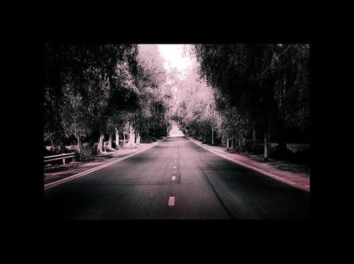 The road stretches on